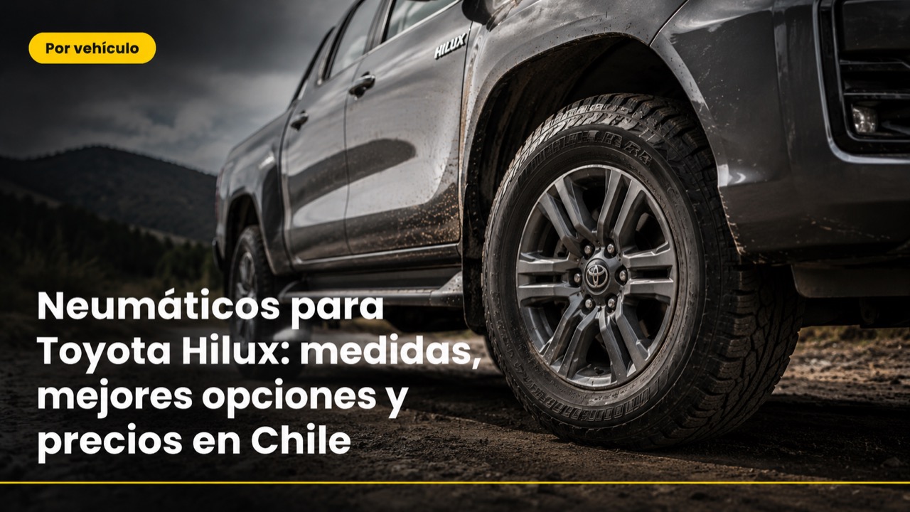 Por vehículo