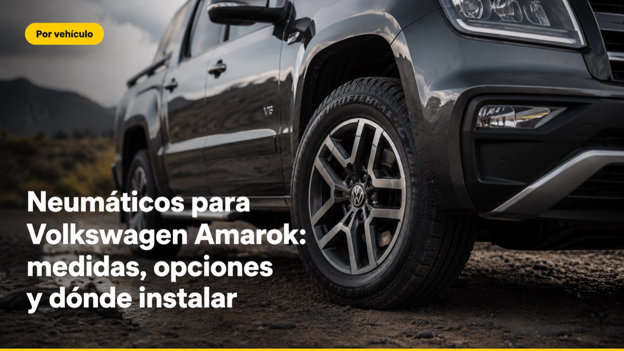 Por vehículo